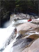 Tellico 21